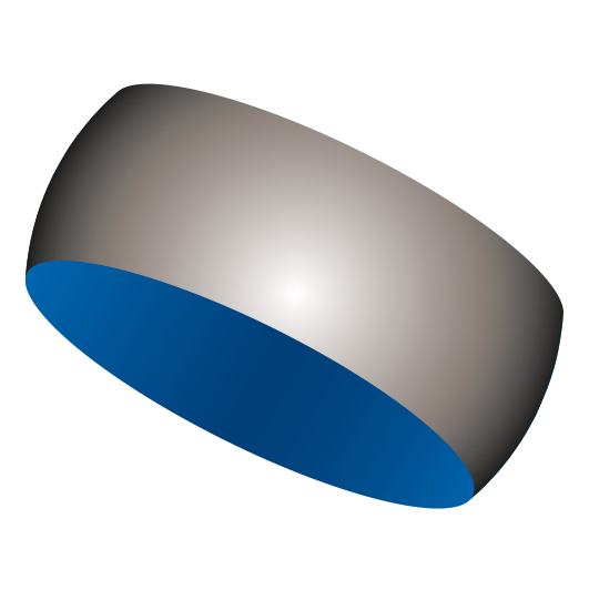 belief globe